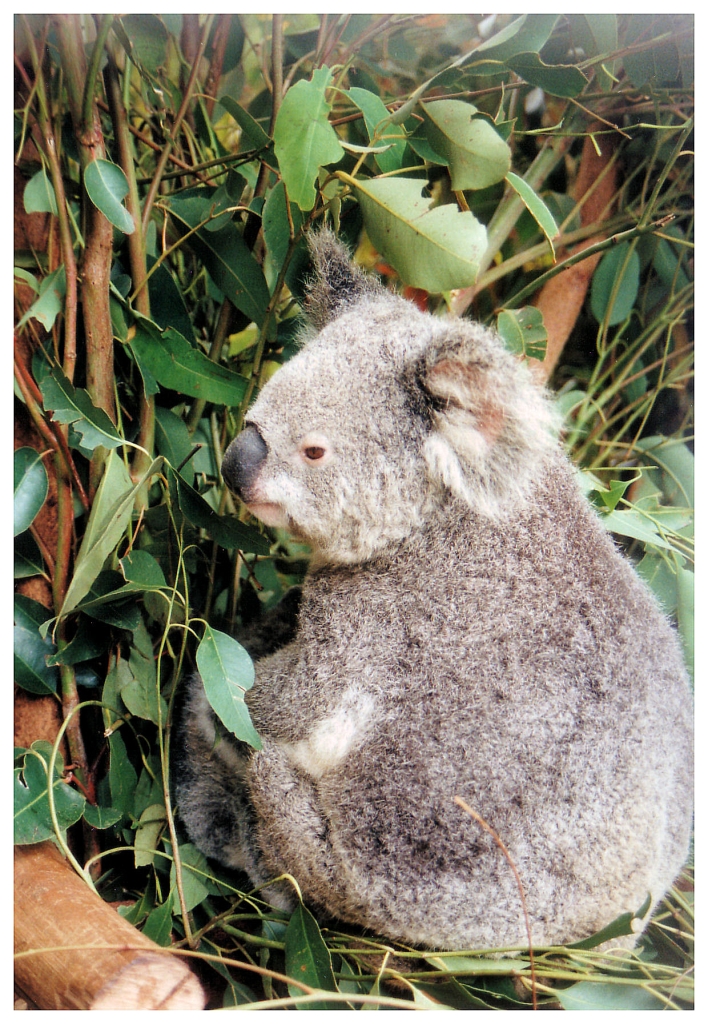 04 - Queensland (51).jpg